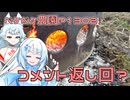 2025年3月17日　農作業日誌P1302　もくもく焚火しているのでコメント紹介です