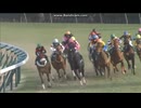 2017 フラワーカップ(GIII)　ファンディーナ