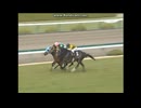 2004 若葉ステークス(OP) 　ハーツクライvsスズカマンボ