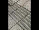 76395131717__23BD4BBC-FCEF-4192-9FF4-F33DDB357EE0