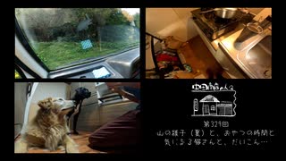 【第329回】山の様子（夏）と、おやつの時間と、気になる猫さんと、だいこん…