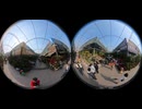 【Vlog】中国でも有数の「植物販売」卸売市場　insta360度カメラで撮影