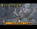モンハンワイルズ　護闢獣の爪の入手場所は？　武器・防具素材集め入手方法　＃２９７　【モンスターハンターワイルズ】