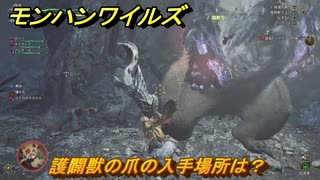 モンハンワイルズ　護闢獣の爪の入手場所は？　武器・防具素材集め入手方法　＃２９７　【モンスターハンターワイルズ】
