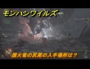 モンハンワイルズ　護火竜の尻尾の入手場所は？　武器・防具素材集め入手方法　＃２９９　【モンスターハンターワイルズ】
