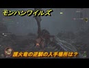 モンハンワイルズ　護火竜の逆鱗の入手場所は？　武器・防具素材集め入手方法　＃３００　【モンスターハンターワイルズ】