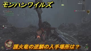 モンハンワイルズ　護火竜の逆鱗の入手場所は？　武器・防具素材集め入手方法　＃３００　【モンスターハンターワイルズ】