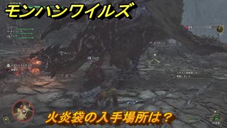 モンハンワイルズ　火炎袋の入手場所は？　武器・防具素材集め入手方法　＃３０１　【モンスターハンターワイルズ】