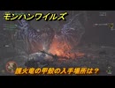 モンハンワイルズ　護火竜の甲殻の入手場所は？　武器・防具素材集め入手方法　＃３０３　【モンスターハンターワイルズ】
