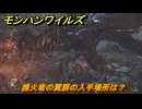 モンハンワイルズ　護火竜の翼膜の入手場所は？　武器・防具素材集め入手方法　＃３０４　【モンスターハンターワイルズ】