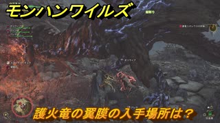 モンハンワイルズ　護火竜の翼膜の入手場所は？　武器・防具素材集め入手方法　＃３０４　【モンスターハンターワイルズ】