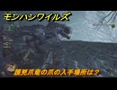 モンハンワイルズ　護兇爪竜の爪の入手場所は？　武器・防具素材集め入手方法　＃３１０　【モンスターハンターワイルズ】
