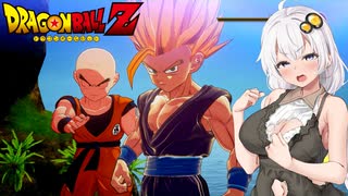 【インターバル】あかりがやらねば誰がやる＃23【ドラゴンボールZ カカロット】