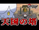失ったポケモンは二度と戻らない。【ブラックホワイト】#24