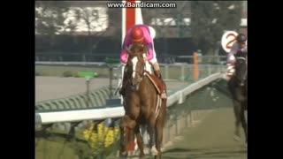 2001 阪神大賞典 (GII)　ナリタトップロード