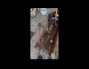 Pallan Plumbing, Inc