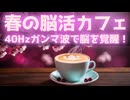 脳が覚醒する春のカフェ音楽！40Hzガンマ波で集中力MAX＆認知症予防の奇跡のBGM