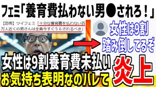 ツイフェミ「養育費を払わない男は●されるべき！」→女性の方が養育費払ってない事が明らかになってしまう...