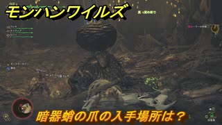 モンハンワイルズ　暗器蛸の爪の入手場所は？　武器・防具素材集め入手方法　＃３１７　【モンスターハンターワイルズ】