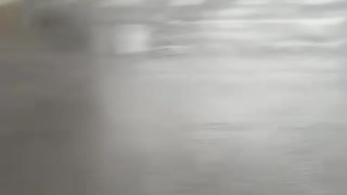 76405108412__95C113E7-68F7-4C1A-829E-0EB760E9C6FC