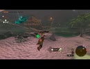 #130【ゼルダの伝説 ティアーズ オブ ザ キングダム】ウオトリー村を占拠してる海賊を壊滅させるわ！