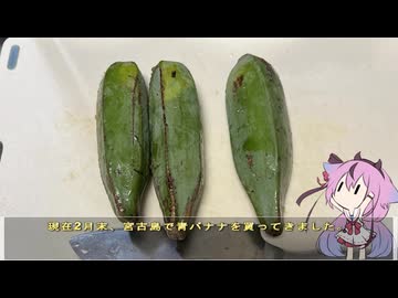 【第3回初見料理祭】珍食材が食べたい！#212 青バナナでボロン
