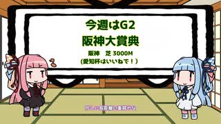 2025阪神大賞典について