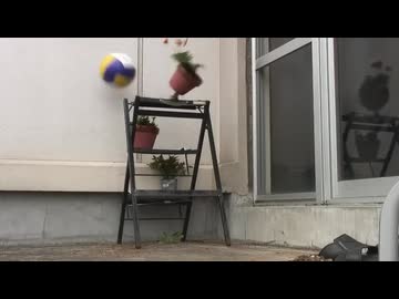 植木鉢シュート