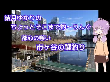 ちょっとそこまで釣～りんぐ「都心の憩い、市ヶ谷の鯉釣り」【結月ゆかり】