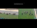 2025 東海テレビ杯金鯱賞 (GⅡ)　クイーンズウォーク