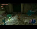 #132【ゼルダの伝説 ティアーズ オブ ザ キングダム】地底で怪しい建造物を発見！