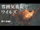 雰囲気重視でワイルズ「緋の森編１」