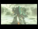 #13『ゼルダの伝説 ティアーズ オブ ザ キングダム』【初見プレイ】