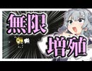 【ひとくちパズル】小春六花と無限増殖の街　国家資格の取り方付き　ソフトウェアトーク実況　#13【BABA IS YOU】