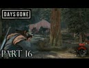 荒れ果てた世界を生き延びろ。【DAYS GONE実況part16】