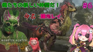 ＃6 ヌシと救難信号と白の孤影【モンスターハンターワイルズ】