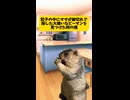 経験あるよね？