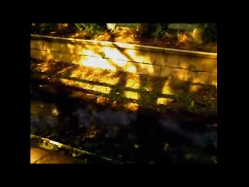 【歌ってみた】celluloid/baker