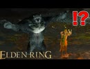 戦闘中にいきなり変装しようとする緑色の男w w w w w w#８ 【ELDEN RING】