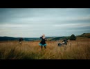 Air Drawn Dagger - Bellyaches (Official Music Video)