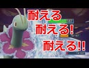 【好きなポケモンで勝ちたい】不遇扱いを受けている二世代御三家の「メガニウム」が九世代の対戦環境でも戦えるってことを証明してやる！！【ポケモンSV】