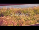 Grass blowing in the wind with the ocean waves on the background
