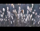 Water Grass Waving in the Wind with Lake Reeds in the Background