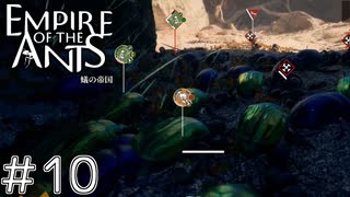 細い道で激しい攻防戦　「EMPIRE OF THE ANTS ～蟻の帝国～」　＃10