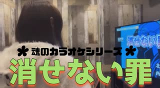 【魂のカラオケシリーズ】ハガレン「消せない罪」歌ってみた