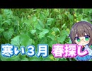 凍える３月、春の山菜はある？