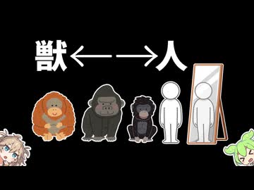 知性があるから自分がわかる【ずんだもん】