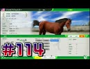【ウイニングポスト10 2024 】こっちでめざせ！G1全制覇！ウイニングポスト10 2024＃114【実況プレイ】