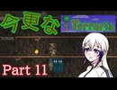 【Terraria】今更なテラリア　その11