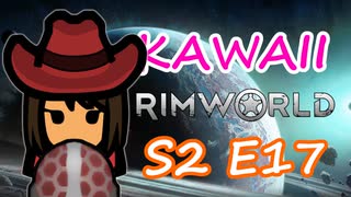 サブコア・ソフトスキャナー | 可愛さだけで成り上がる RimWorld Ep.17